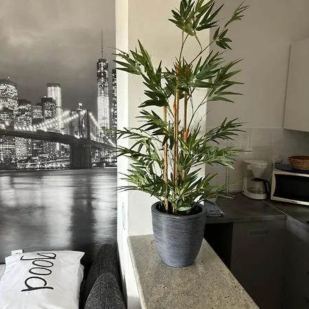 Jasna B Apartment *