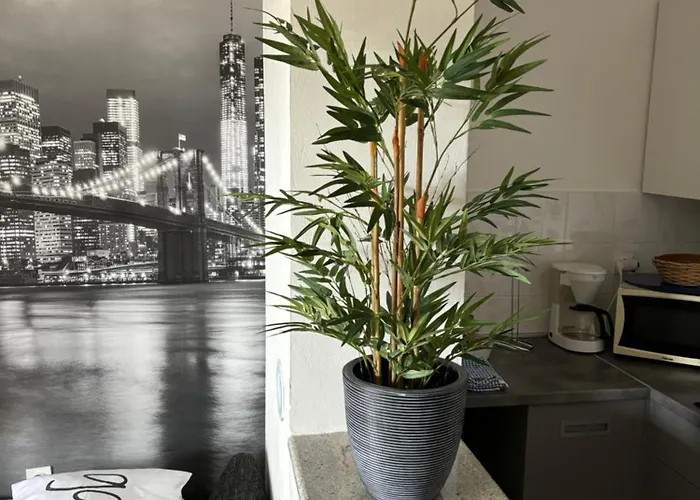 Jasna B Appartement *