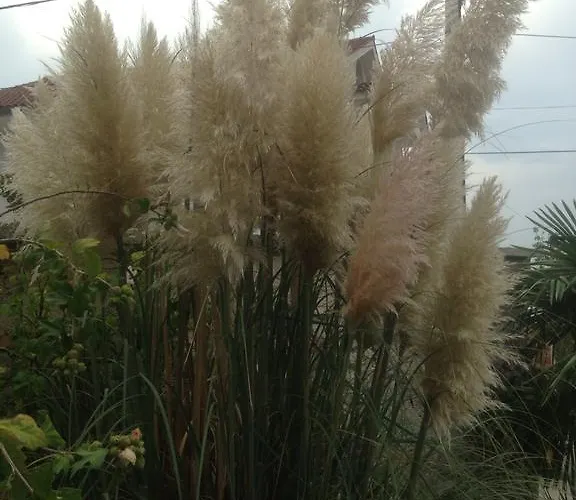 Jasna B Appartement *