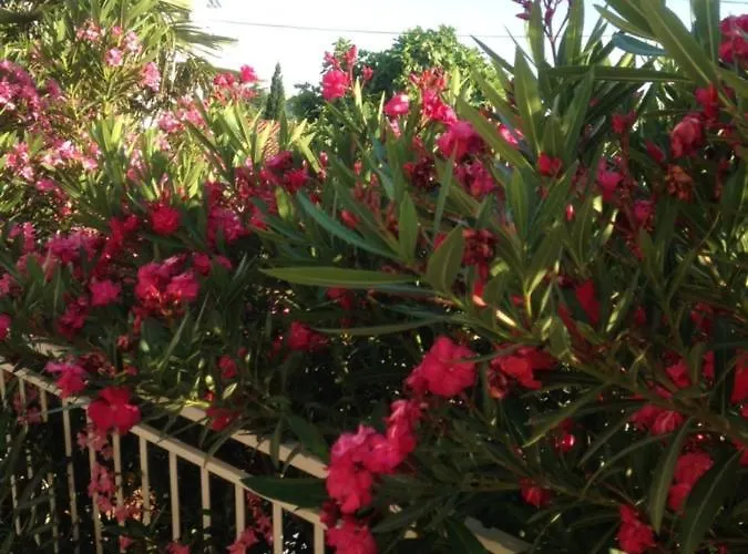 Jasna B Appartement *