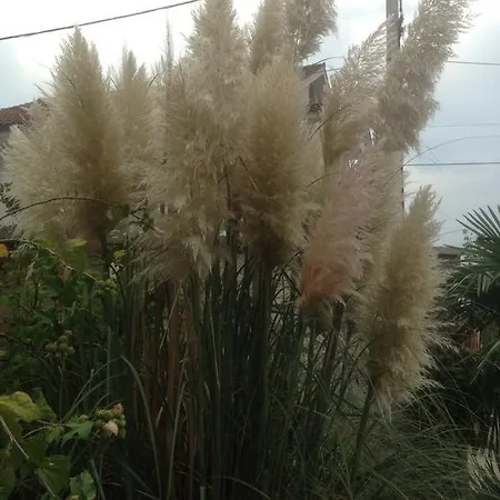 Jasna B Apartament *