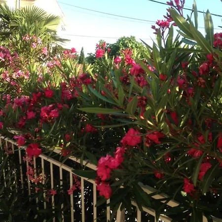 Jasna B Appartamento *